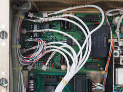 P3100011.JPG (9005121 bytes)